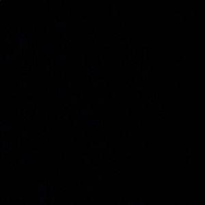 Meet your Posher, Oscar